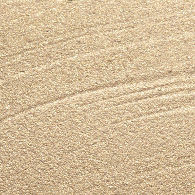 PN LongWear 164 Better Have My Money 10 ml