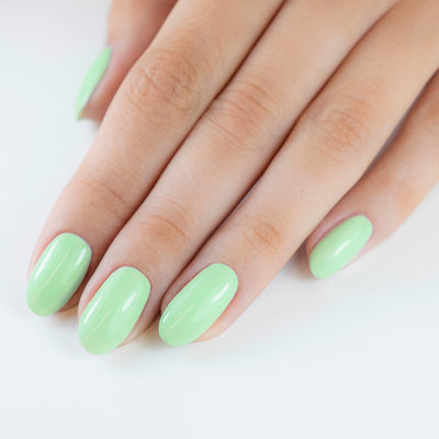 PN Longwear 242 Palmy Days 10 ml