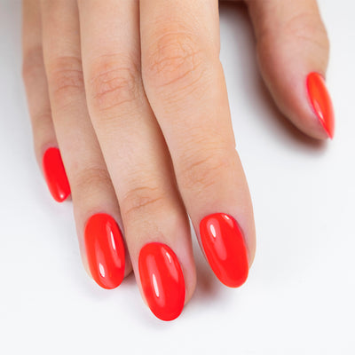 PN Longwear 245 Stuck In The Game 10 ml