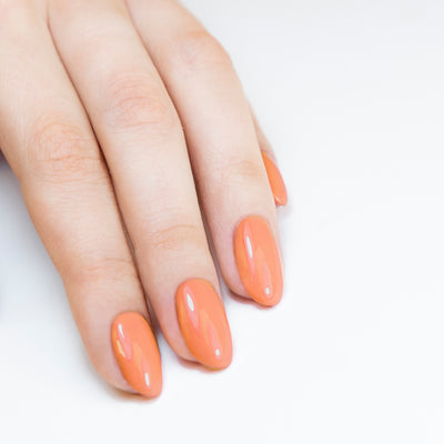 PN LongWear 311 Antilope 10 ml