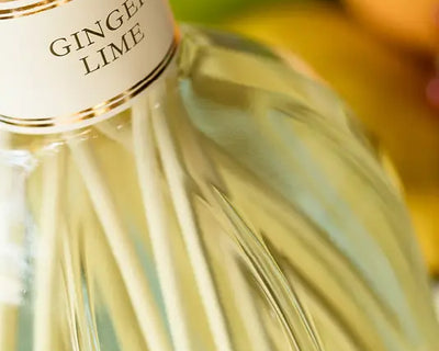 Raumduft Ginger Lime 250ml