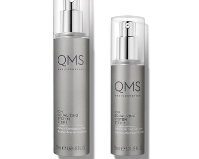 Ion Equalizing System